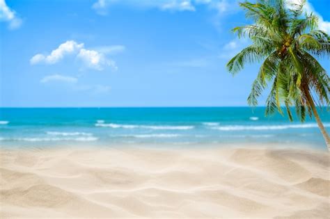 Praia Com Mar Azul Embaçada E Céu Fundo De árvore De Palma Foto Premium