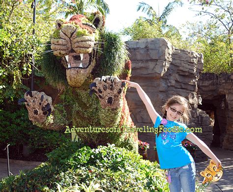 7 Reasons To Go To Busch Gardens For Your Kids Birthday Adventures