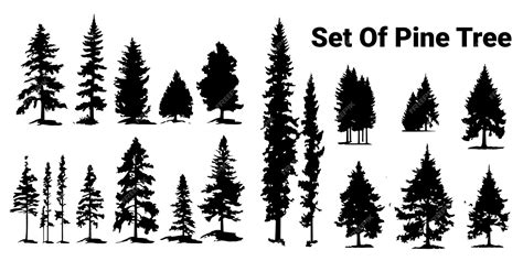 Premium Vector A Set Of Silhouette Tree Vector Illustration