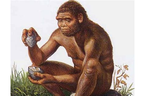 Early Hominids Tools