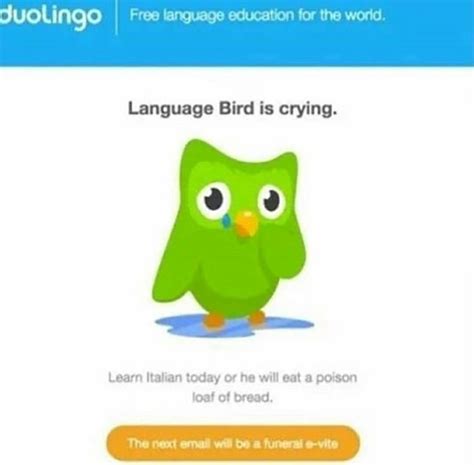 I believe that the bird guy is a representation of an owl. Language bird is crying : duolingo