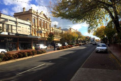 We did not find results for: A central street in Orange, NSW - ABC News (Australian ...