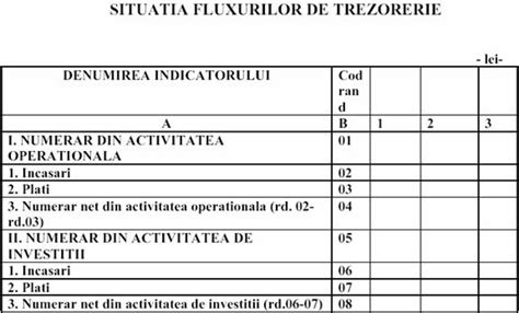 Intocmirea Situatiilor Financiare