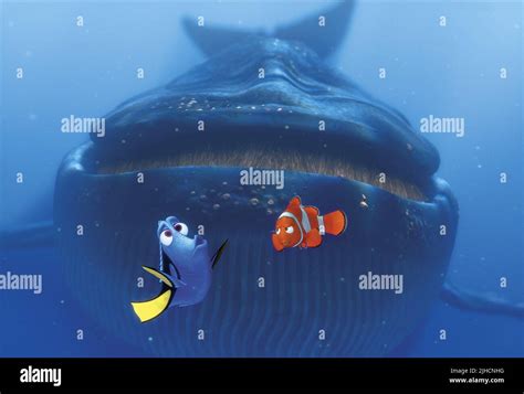 Whale Finding Nemo Hi Res Stock Photography And Images Alamy