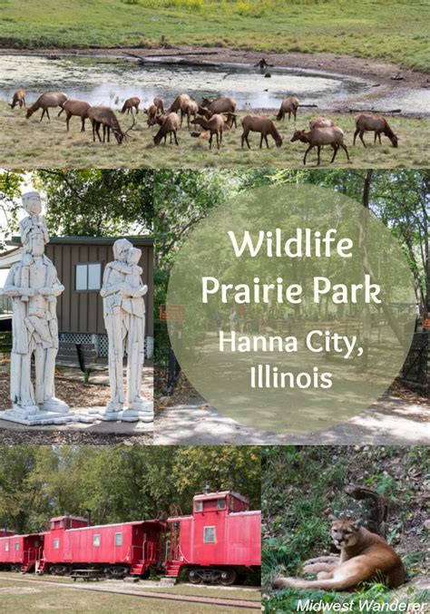 12 Ways To Enjoy Wildlife Prairie Park