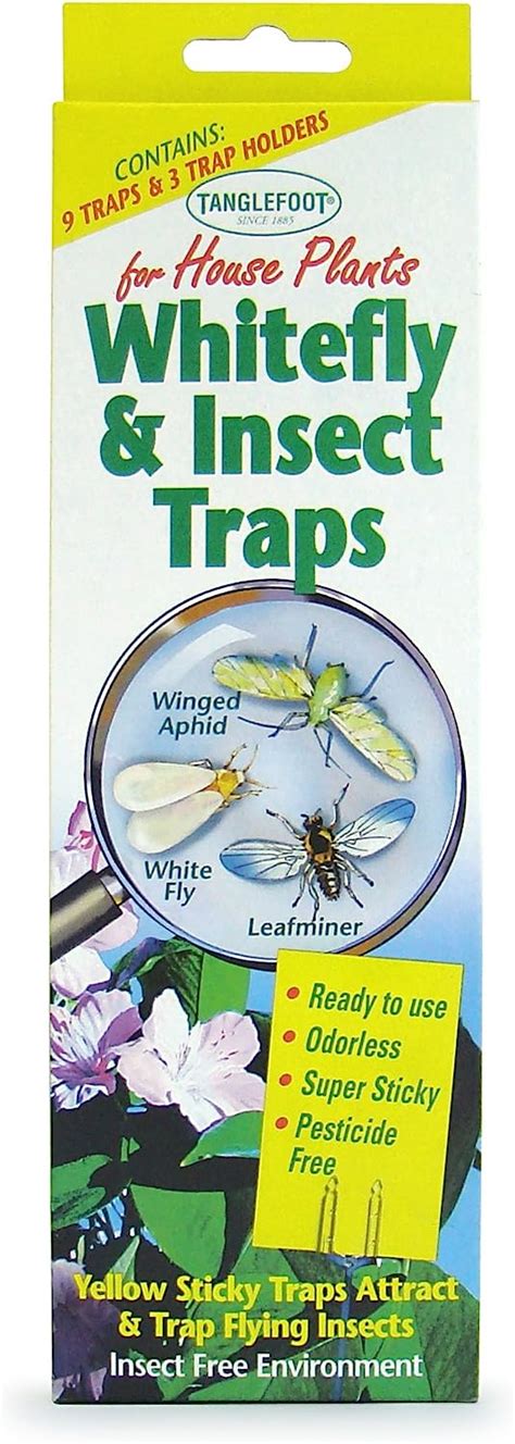 Tanglefoot 300000693 Sticky Whitefly Trap For House Plants