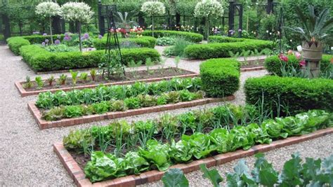 Vegetable Garden Layout And Ways To Improve My Garden Plant