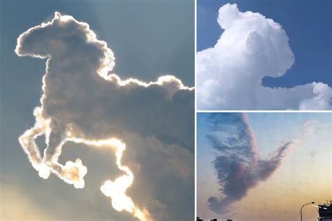 Incredible Animal Shapes Spotted In Clouds But Is All As It Seems