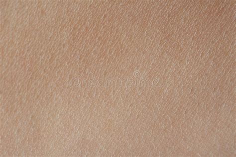 Macro Of Texture Human Skin Stock Image Image Of Skin Abstract 78665253