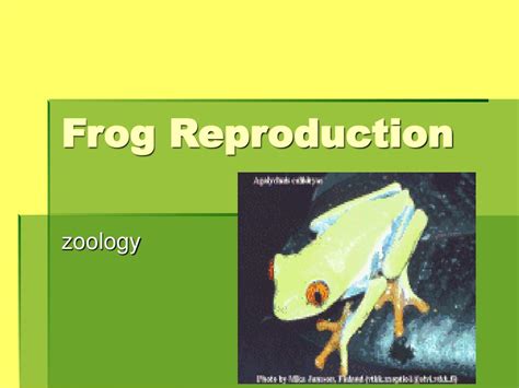 Ppt Frog Reproduction Powerpoint Presentation Free Download Id4321740