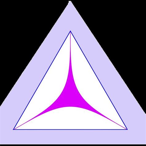 Color Online The Outer Equilateral Triangle Is The Pauli Simplex With