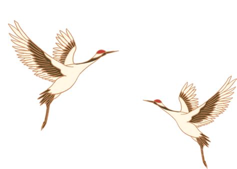 Bird Crane Animal Birds Crane Bird Png Transparent Clipart Image And