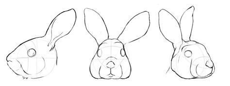 How To Draw A Rabbit Easy Step By Step For Beginners