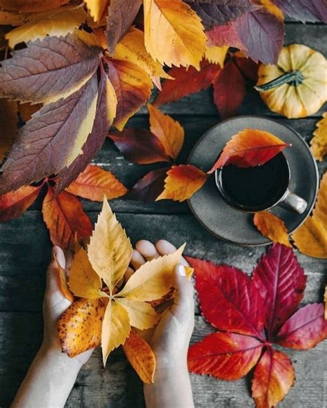 🍂witchy Autumns🌙 Autumn Coffee Autumn Photography Fall Wallpaper