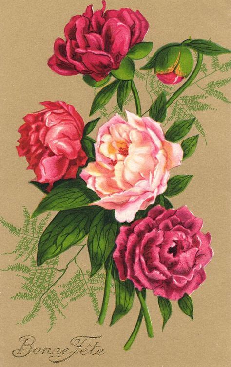 450 Vintage Rose Prints Ideas In 2021 Vintage Roses Vintage Flowers