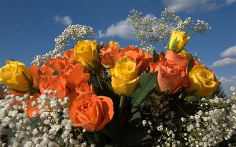 Beautiful Roses Wallpaper Rose Color Meanings Orange Rose Bouquet