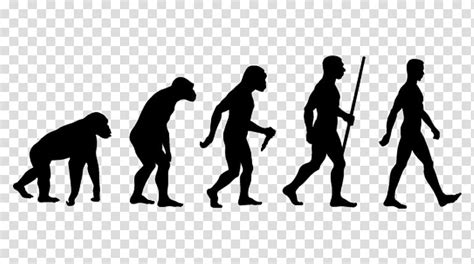 Free Download Human Evolution Evolutionary Biology Homo Sapiens