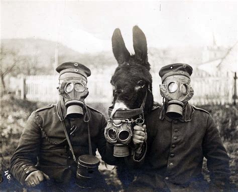 Two German Soldiers And Their Mule Wearing Gas Masks 1916 Library Hist