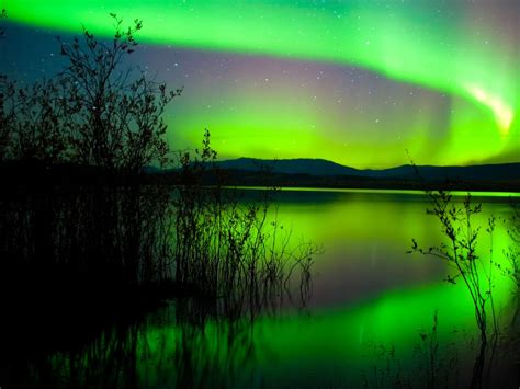 Green Northern Lights Canada Hd Wallpaper 1800x2880
