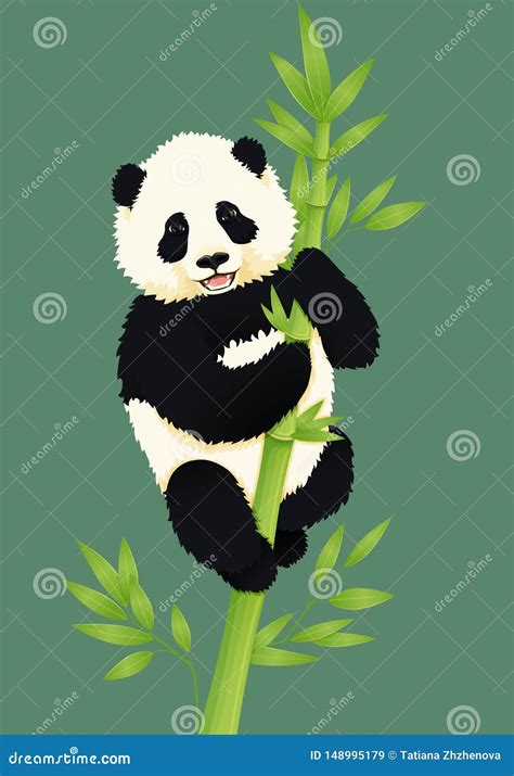Happy Smiling Baby Giant Panda Climbing Green Bamboo Tree Black And