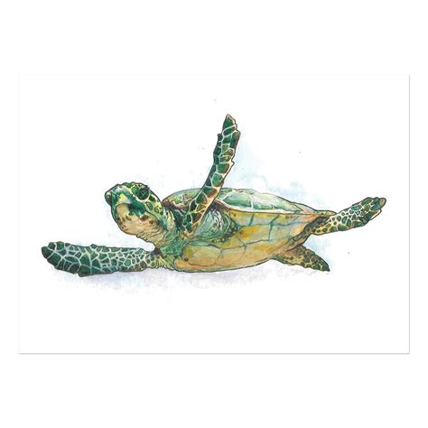 Juvenile Loggerhead Sea Turtle Print