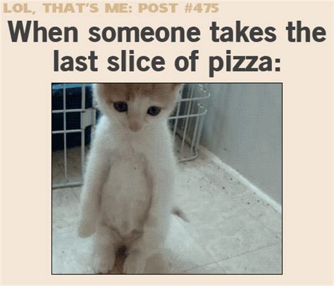 kitten pizza wiffle