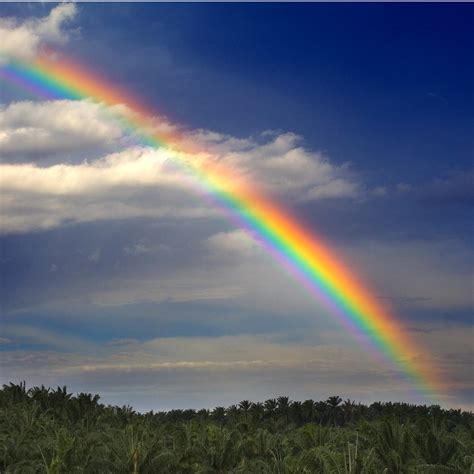 Rainbow — catch the rainbow (ritchie blackmore's rainbow 1975). Rainbow Sky | By popular demands from my friends who insists… | Flickr