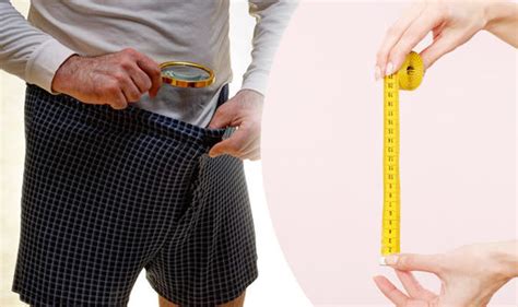 How Much Does Size Matter Women Reveal Preferred Penis Size Life Life And Style Uk