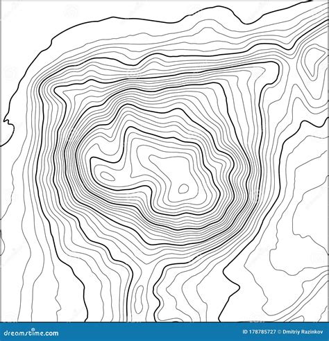 Grey Contours Vector Topography Geographic Mountain Topography Vector