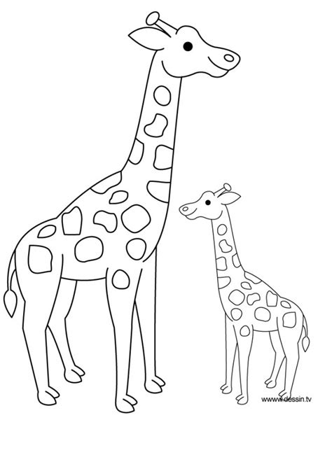 Coloriage Girafe Et Son Petit Dessin Gratuit à Imprimer