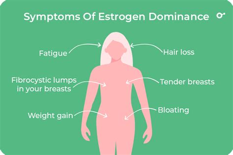Estrogen Dominance And How Does It Affect The Body Inito