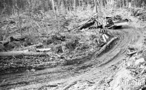 Cat Logging At Bloedel Stewart And Welch Camp 5 Campbell River