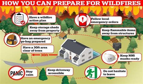 Experts Reveal Their Wildfire Survival Tips English Abdpost Com