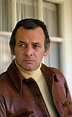 Here's What Happened to 'The Fugitive' Star David Janssen