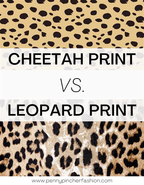 Cheetah Vs Leopard Print Penny Pincher Fashion