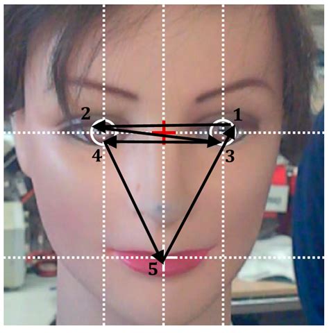 Sensors Free Full Text Enhancing The Sense Of Attention From An Assistance Mobile Robot By