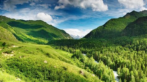 Free Photo Lush Green Mountain Forest Green Height Free Download
