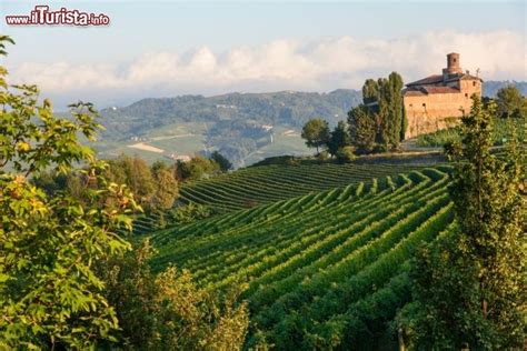 These are two of the wine world's pinnacles but, as aldo conterno placidly observes, they are not easy to understand and, since they are made in small quantities, that matters little. Panorama dei vigneti nei pressi di Barolo | Foto Barolo