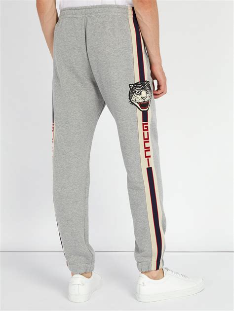 Gucci Cotton Side Stripe Tiger Appliqué Track Pants In Grey Grey For