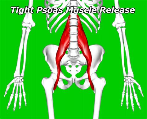 Tight Psoas Muscle Release Using Powerful Step Method
