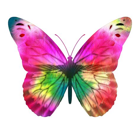 Free Photo Pink Butterfly Butterfly Design Fly Free Download