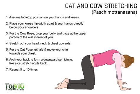 Also called the chakravakasana, cat cow pose is said to be ideal for those experiencing frequent back pains as it improves both your posture and balance. Best Yoga Exercises to Help You Sleep Better - Page 2 of 3 ...