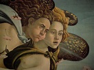 Birth Of Venus Botticelli