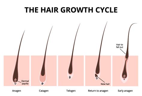 Hair Loss In Women The Ultimate Guide International Hairgoods