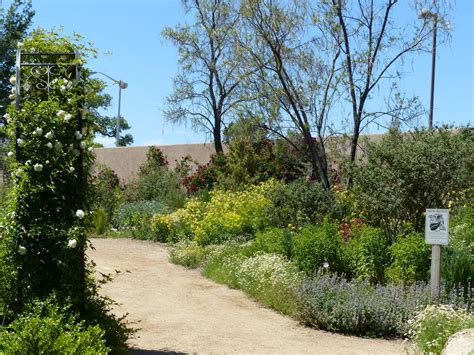 Albuquerque Botanical Gardens Exploring New Mexico