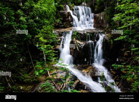 Mountain Stream Waterfall Stock Photo Alamy