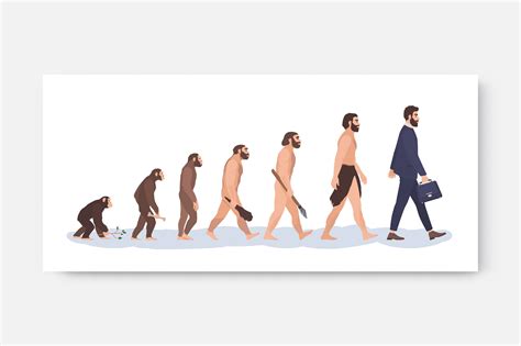 Human Evolution Stages People Illustrations Creative Market