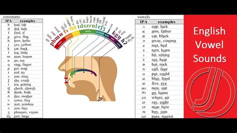 Easiest Way To Understand The 20 Vowel Sounds In English Quickly Learn