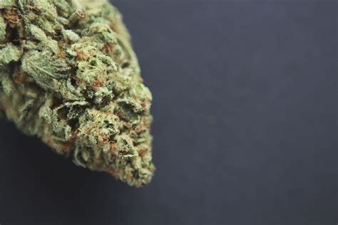Stardawg Strain Review The Stoner Mom Reviews