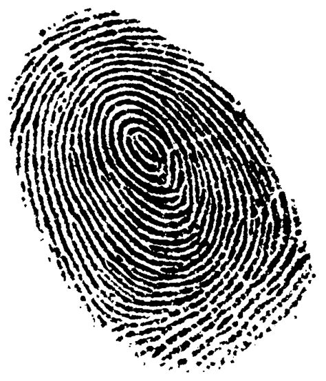 Fingerprint Live scan Lawyer Crime - others png download - 604*706 png image